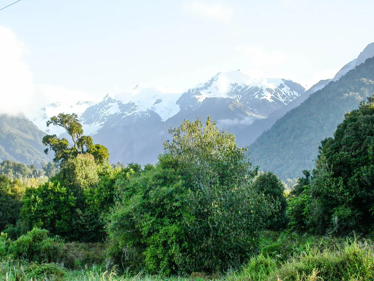 Mountains and bush at Haast Pass