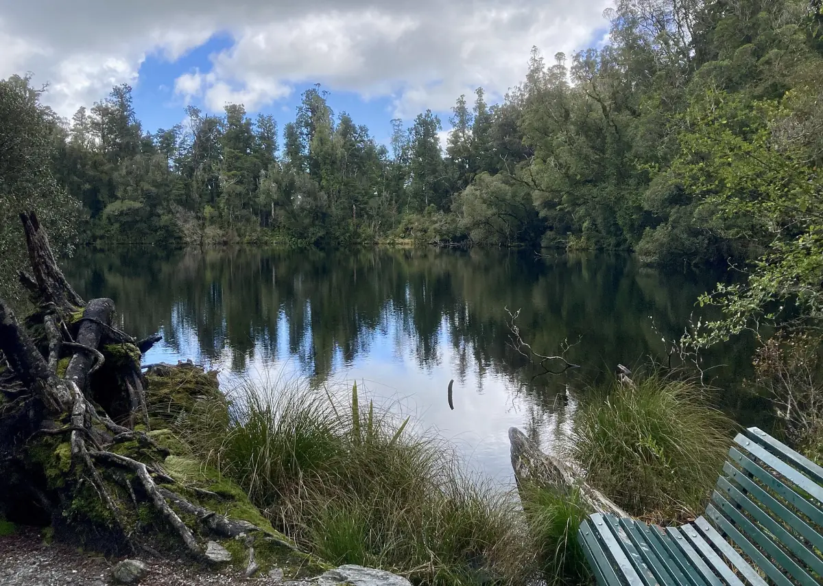 Lake Wombat in the forest near Franz Josef